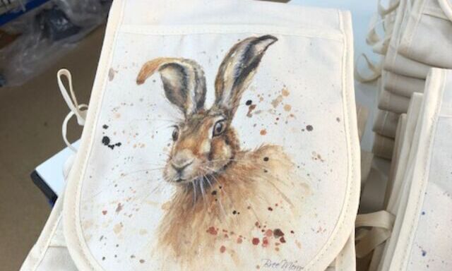 Our Professional Kitchen Collection: Oven Gloves and More